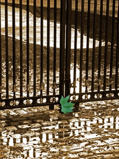 Victoria Park Gates pic